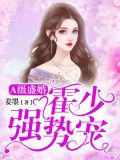 a级盛婚霍少强势宠婚全文免费阅读