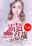 关于霸道总裁宠妻无度的小说