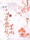 丁薇公治明锦绣皇后最新