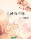 皇城有宝珠TXT百度云