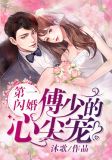 第一闪婚：傅少的心尖宠黎歌