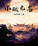 小贼无名