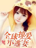 全球掠爱小逃妻