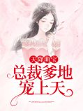 天降萌宝： 总裁爹地宠上天舒婧岚慕煜琛