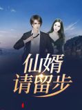 叶天苏妙嫣