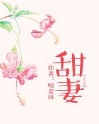 甜妻燃气灶怎么样