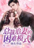总裁追妻的困难模式 小说