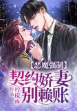 恶魔契约小说冥野