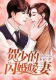 贺少的闪婚暖妻漫画全文免费下拉式272