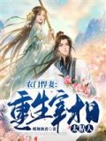 农门悍妻：重生宰相太粘人
