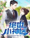 绝世小神医