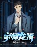 帝师龙婿