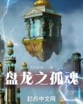 盘龙之孤魂