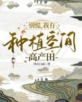 别慌，我有种植空间高产田