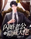 闪婚老公是隐藏大佬