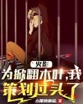 火影：为掀翻木叶，我策划过头了