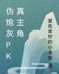 伪炮灰PK真主角