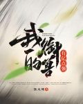 我的御兽有亿点强