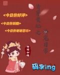 清穿贵妃之娇宠日常