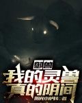 御兽：我的灵兽真的阴间