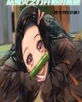 从鬼灭之刃开始的旅程