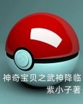 神奇宝贝之武神降临