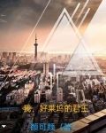 我,好莱坞的君王TXT百度网盘下载