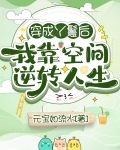 穿成丫鬟后，我靠空间逆转人生