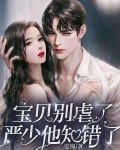 宝贝别虐了，严少他知错了