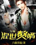 至尊混世赘婿