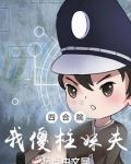 四合院我傻柱妹夫