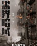黑界暗域
