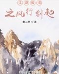 风行剑起
