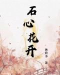 石心花开剧情