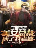 那一夜后，美女总裁成了我老婆苏秦齐兰