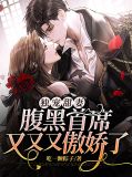 独宠甜妻：腹黑首席又又又傲娇了沈知念
