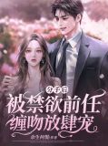 分手后，被禁欲前任缠吻放肆宠江时逸