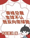 御姐总裁生球不认，我反向带球跑