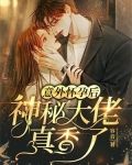 意外怀孕后，神秘大佬真香了