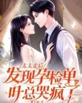 太太走后,发现孕检单的叶总哭疯了湘不凝