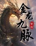 金龙九脉
