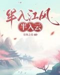 半入江风，半入云