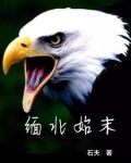 缅北始末