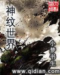 神纹世界 小说