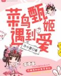 菜鸟甄姬遇到爱
