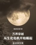 万界穿越：从生化危机开始崛起