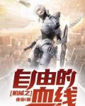 机战之自由的血线 夜枭