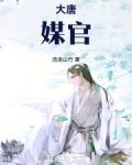 大唐媒官