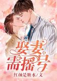 娶妻需摇号无弹窗免费全文