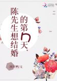 陈先生想结婚的第n天